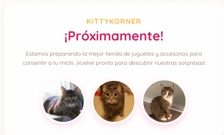 Imagen del proyecto KittyKorner.cl